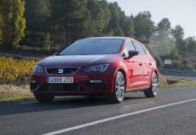 Yeni Leon, sessiz sedasız 2019 için hazırlanıyor